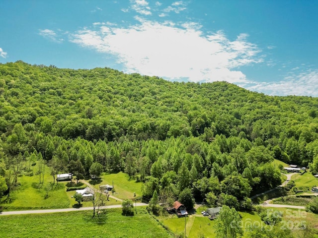 Offof Locust Creek Road, Sylva, NC 28779 - photo 6