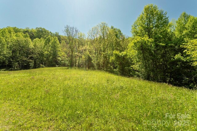 Offof Locust Creek Road, Sylva, NC 28779 - photo 7