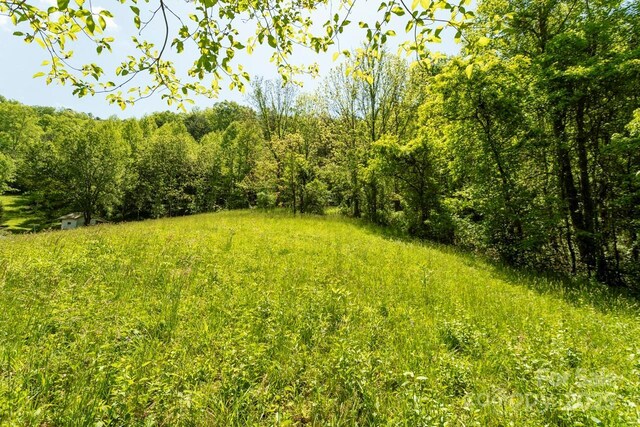 Offof Locust Creek Road, Sylva, NC 28779 - photo 8