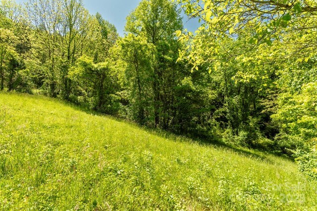 Offof Locust Creek Road, Sylva, NC 28779 - photo 9
