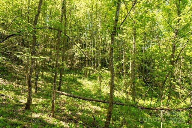 Offof Locust Creek Road, Sylva, NC 28779 - photo 10