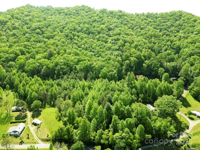 Offof Locust Creek Road, Sylva, NC 28779 - photo 11