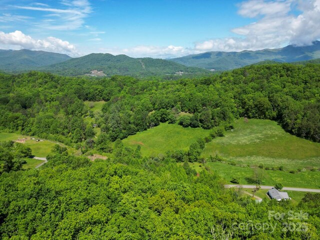 Offof Locust Creek Road, Sylva, NC 28779 - photo 12