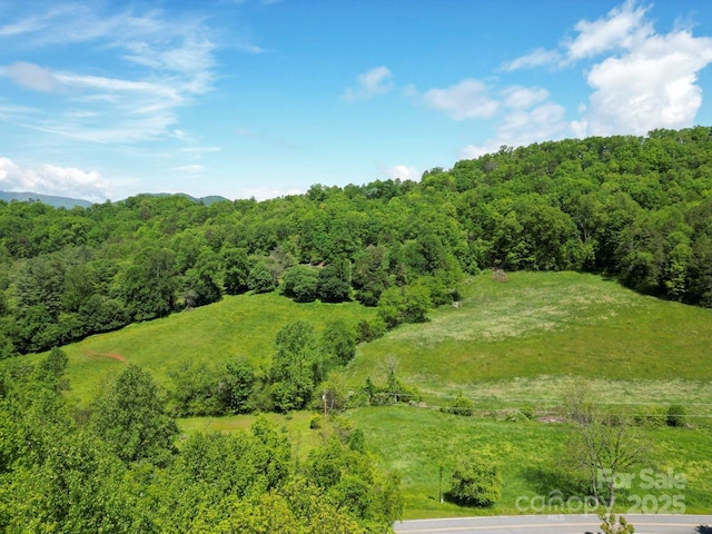 Offof Locust Creek Road, Sylva, NC 28779 - photo 13
