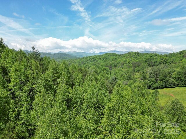 Offof Locust Creek Road, Sylva, NC 28779 - photo 14