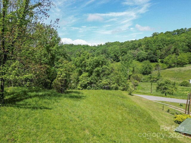 Offof Locust Creek Road, Sylva, NC 28779 - photo 15