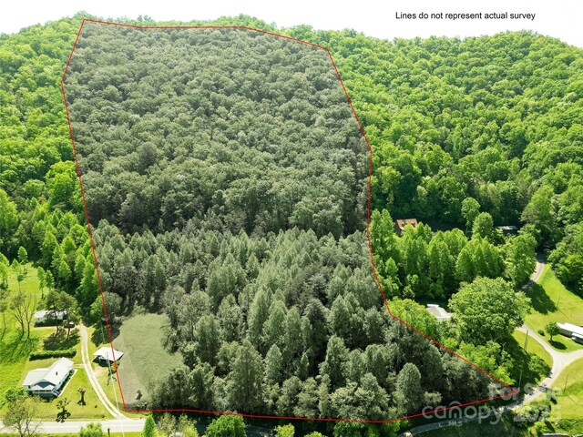 Offof Locust Creek Road, Sylva, NC 28779 - photo 16