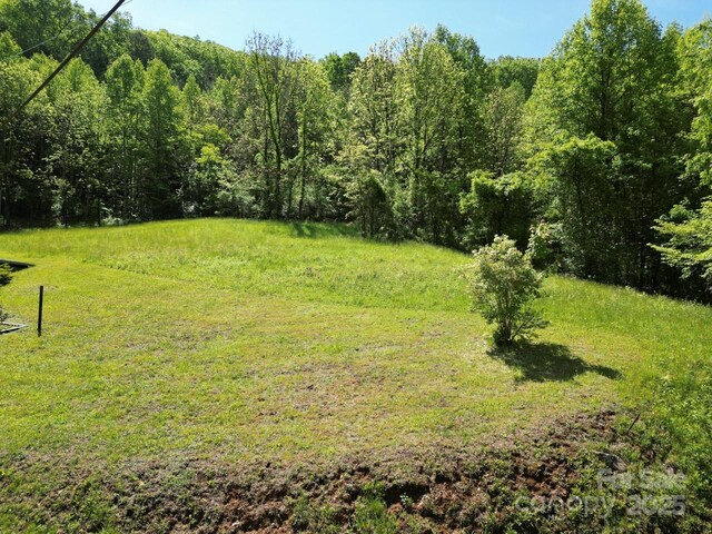 Offof Locust Creek Road, Sylva, NC 28779 - photo 17