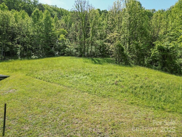 Offof Locust Creek Road, Sylva, NC 28779 - photo 18