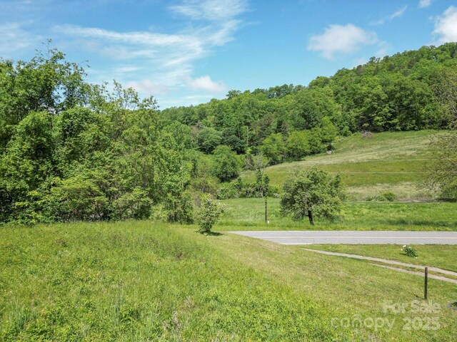 Offof Locust Creek Road, Sylva, NC 28779 - photo 19