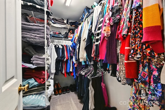 walk in closet with carpet flooring
