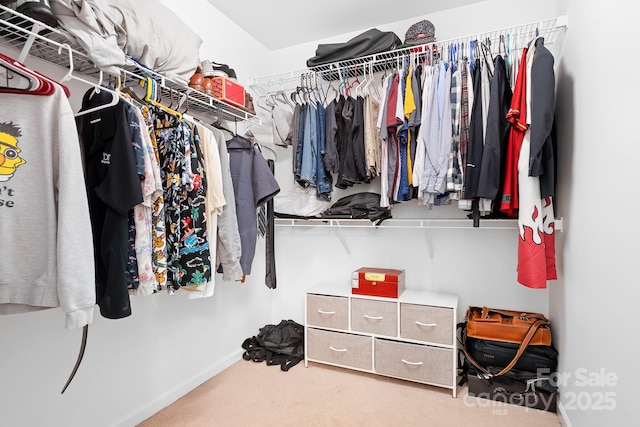 9437 Macquarie Ln, Charlotte, NC 28227 - spacious closet with carpet flooring