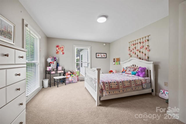 930 Hawley Rd, Mcconnells, SC 29726 - bedroom featuring carpet floors