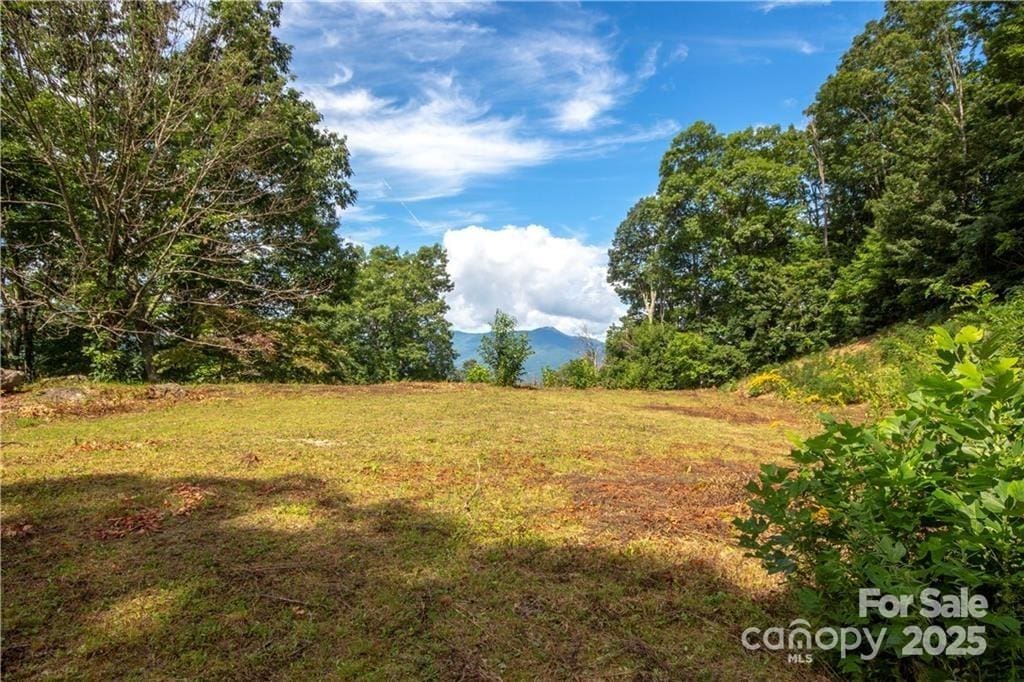 45 Weatherwatch Ln, Waynesville, NC 28786