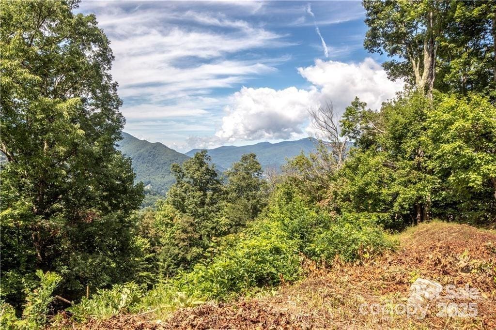 45 Weatherwatch Ln, Waynesville, NC 28786