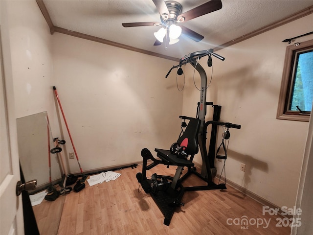 2800 Patio Ln, Gastonia, NC 28056 - workout area with crown molding, light wood-style floors, ceiling fan, a textured ceiling, and baseboards