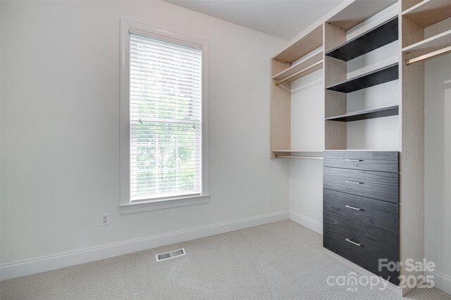 3741 Tea Olive Rd, Gastonia, NC 28056 - spacious closet featuring carpet floors