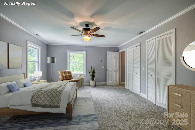 6470 Stone Mountain Rd, Lenoir, NC 28645 - bedroom featuring multiple closets, crown molding, baseboards, carpet flooring, and a ceiling fan
