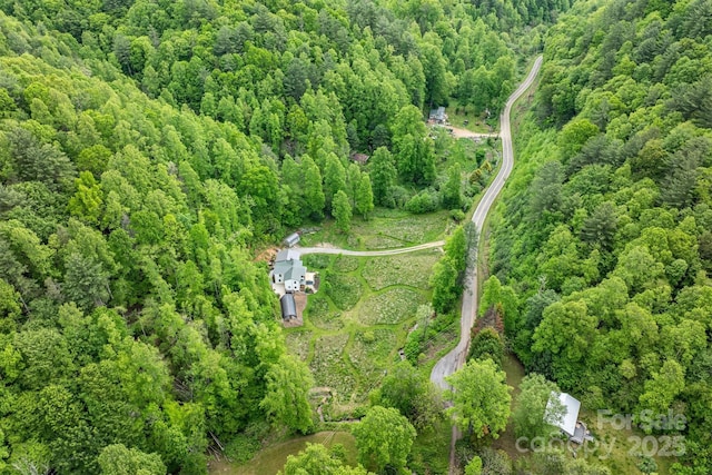 6470 Stone Mountain Rd, Lenoir, NC 28645 - view of property location featuring a heavily wooded area