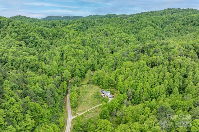 6470 Stone Mountain Rd, Lenoir, NC 28645 - view of property location featuring a heavily wooded area