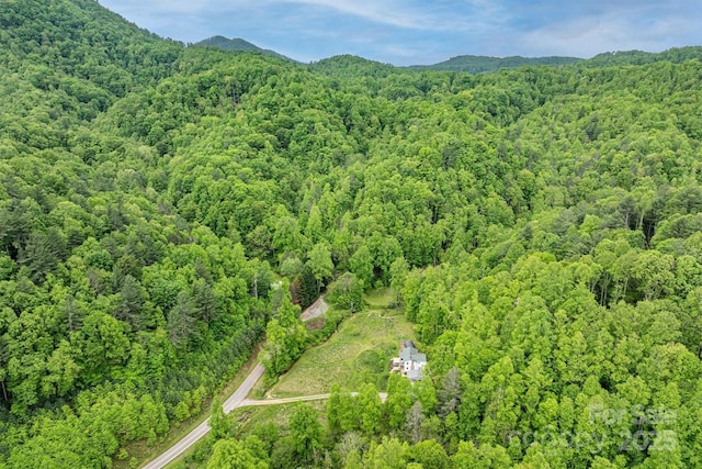 6470 Stone Mountain Rd, Lenoir, NC 28645 - view of property location featuring a heavily wooded area