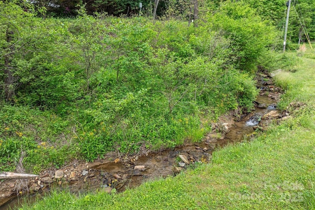 6470 Stone Mountain Rd, Lenoir, NC 28645 - view of undeveloped land