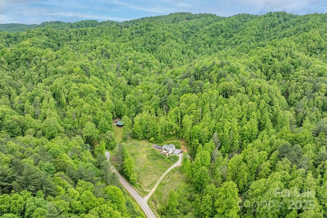 6470 Stone Mountain Rd, Lenoir, NC 28645 - bird's eye view of a forest