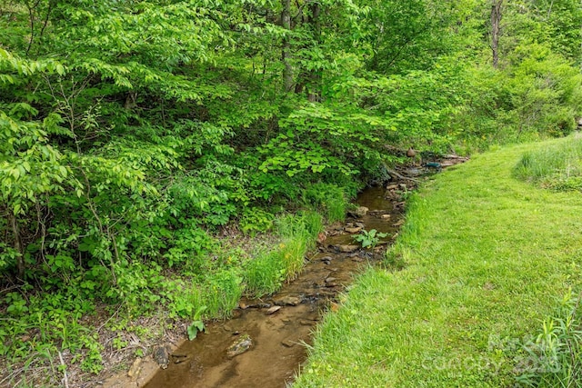 6470 Stone Mountain Rd, Lenoir, NC 28645 - view of yard
