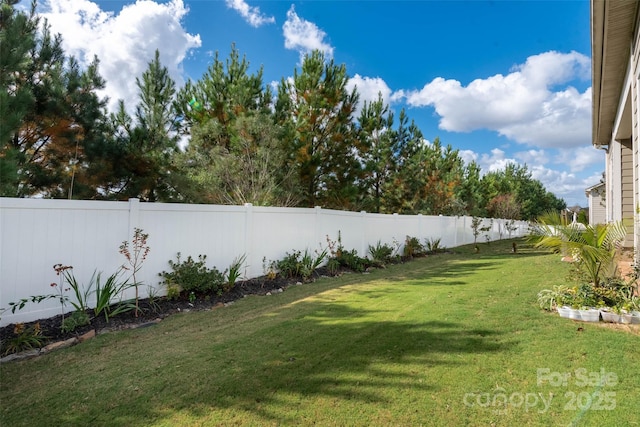 2021 Pinyon Ln, Lancaster, SC 29720 - view of yard