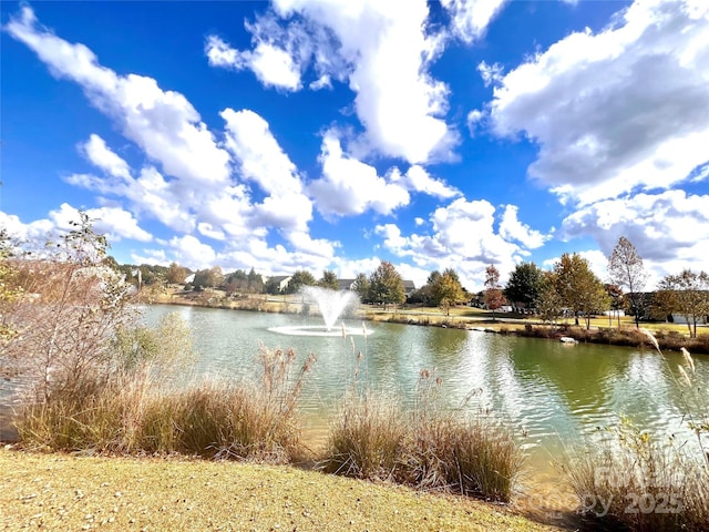 2021 Pinyon Ln, Lancaster, SC 29720 - water view