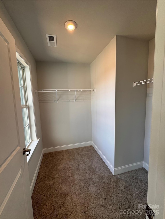 4037 Port Richmond Ave Unit 8, Gastonia, NC 28056 - walk in closet featuring carpet flooring