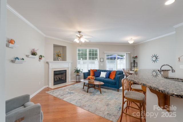 916 Coffee Tree Ln, Rock Hill, SC 29732 - living room with ornamental molding, light wood-style flooring, a fireplace, ceiling fan, and baseboards