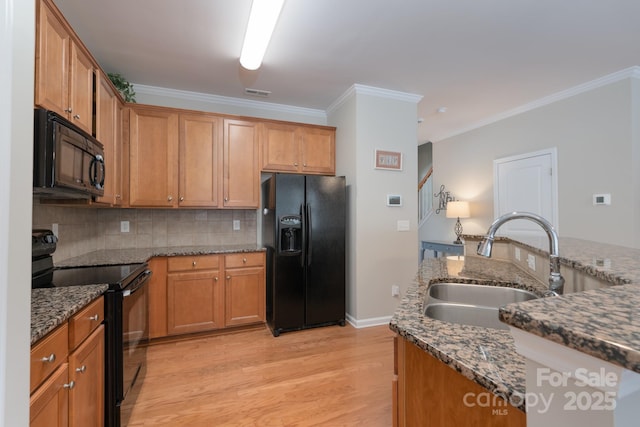 916 Coffee Tree Ln, Rock Hill, SC 29732 - kitchen featuring black appliances, a sink, ornamental molding, light wood finished floors, and backsplash