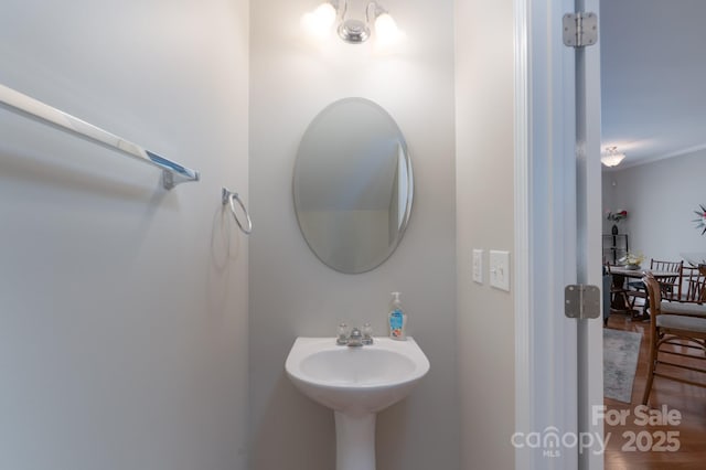 916 Coffee Tree Ln, Rock Hill, SC 29732 - bathroom with a sink