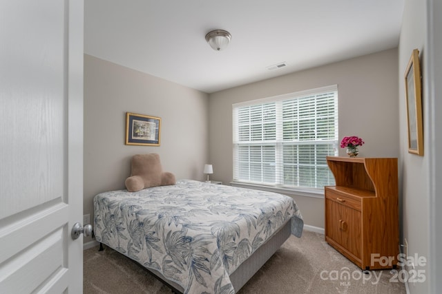916 Coffee Tree Ln, Rock Hill, SC 29732 - bedroom with light colored carpet and baseboards