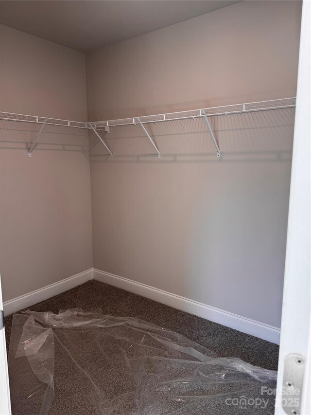 4033 Port Richmond Ave Unit 7, Gastonia, NC 28056 - walk in closet featuring carpet floors