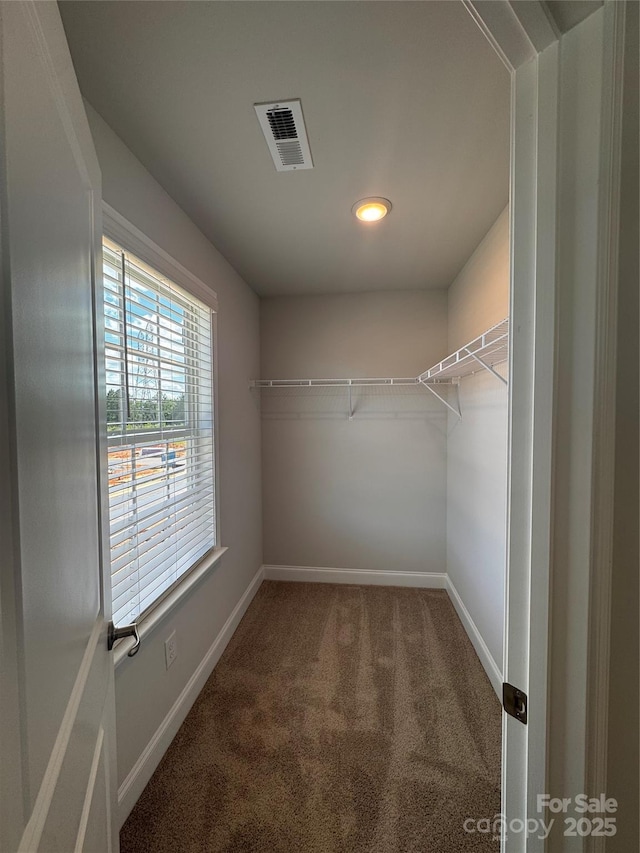 4029 Port Richmond Ave Unit 6, Gastonia, NC 28056 - walk in closet with carpet floors