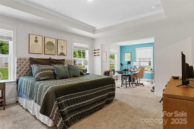 107 Hornbeam Ln, Mooresville, NC 28117 - bedroom featuring carpet flooring, ornamental molding, an office area, a raised ceiling, and baseboards