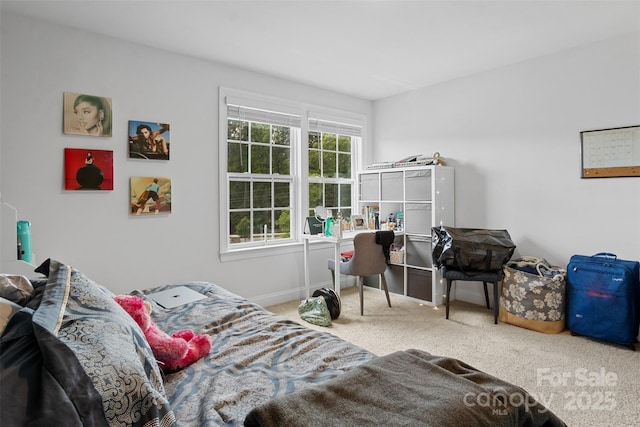 107 Hornbeam Ln, Mooresville, NC 28117 - carpeted bedroom with baseboards