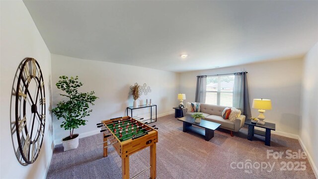 230 Mountain Island Dr Unit 39, Statesville, NC 28677 - photo 17