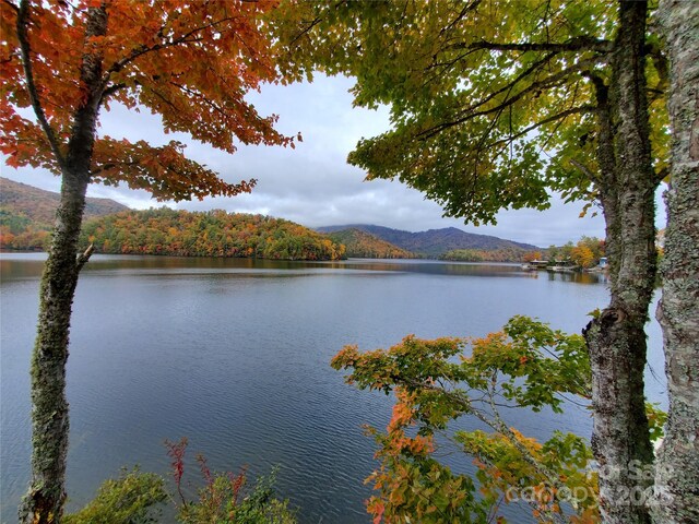 214 Sequoyah Trl, Robbinsville, NC 28771 - water view with a mountain backdrop and a forest