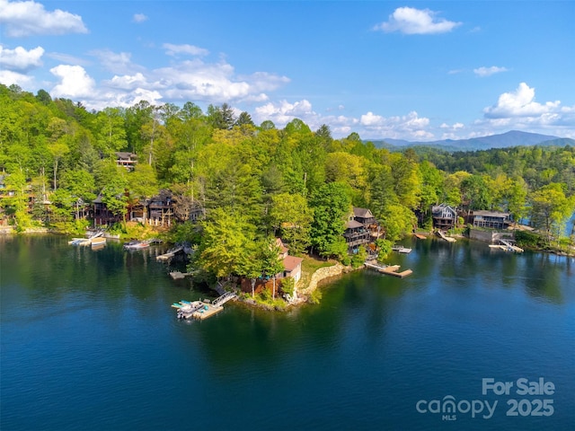 214 Sequoyah Trl, Robbinsville, NC 28771 - aerial view of a large body of water and a heavily wooded area