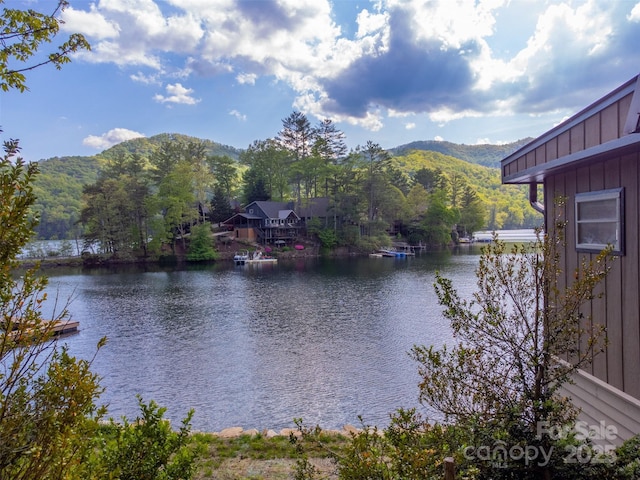 214 Sequoyah Trl, Robbinsville, NC 28771 - water view with mountains