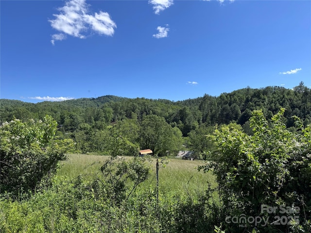 49 Loggy Hollow Rd, Bakersville, NC 28705