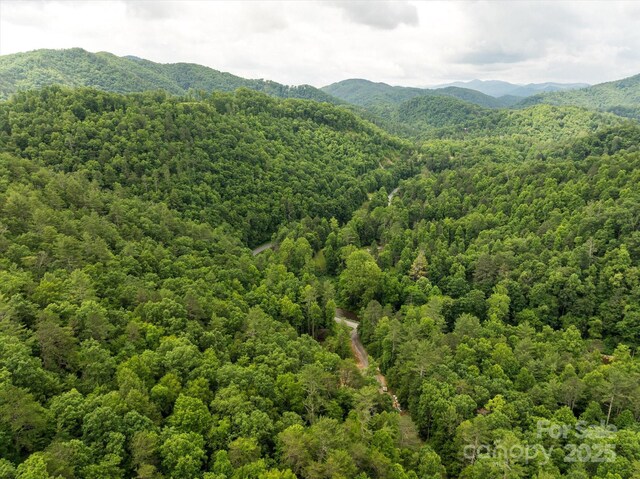 99999 Guntertown Rd, Marshall, NC 28753 - photo 1