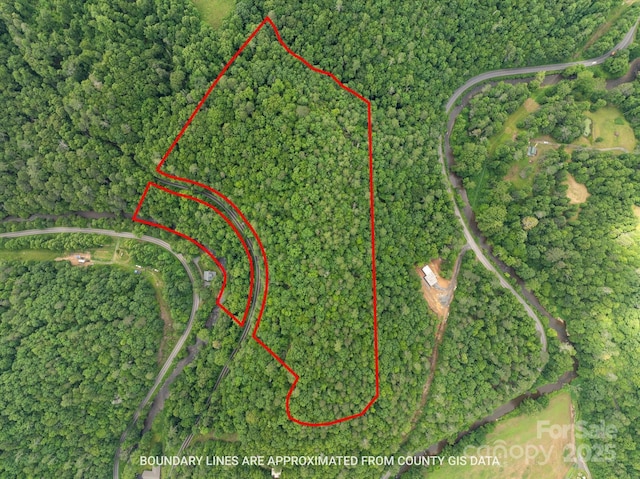 99999 Guntertown Rd, Marshall, NC 28753 - photo 2