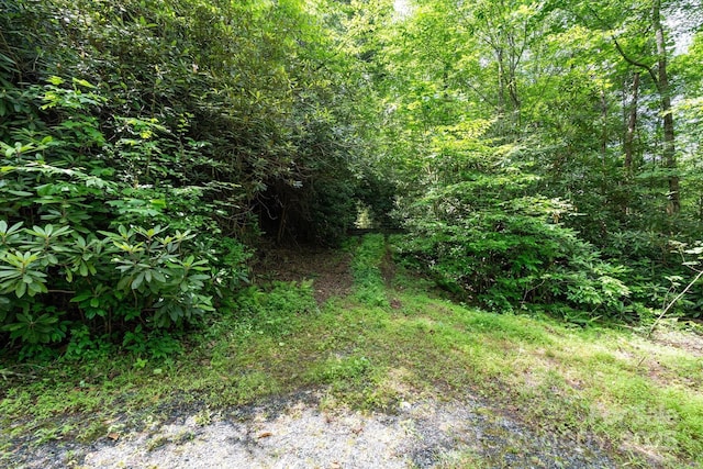 99999 Guntertown Rd, Marshall, NC 28753 - photo 4