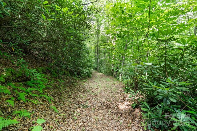 99999 Guntertown Rd, Marshall, NC 28753 - photo 5