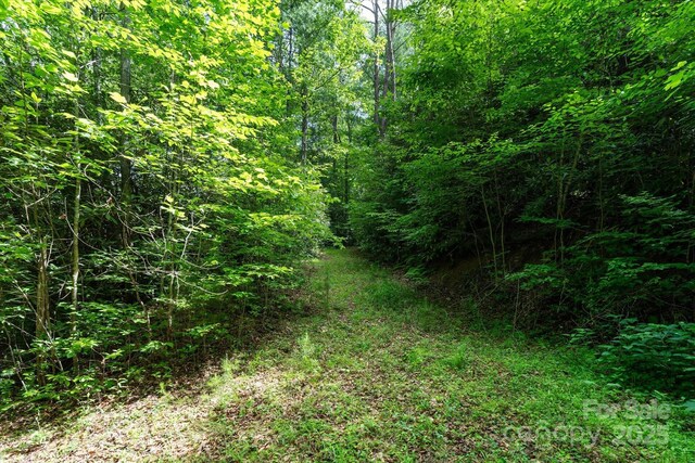 99999 Guntertown Rd, Marshall, NC 28753 - photo 6