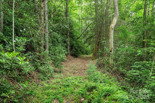 99999 Guntertown Rd, Marshall, NC 28753 - photo 7